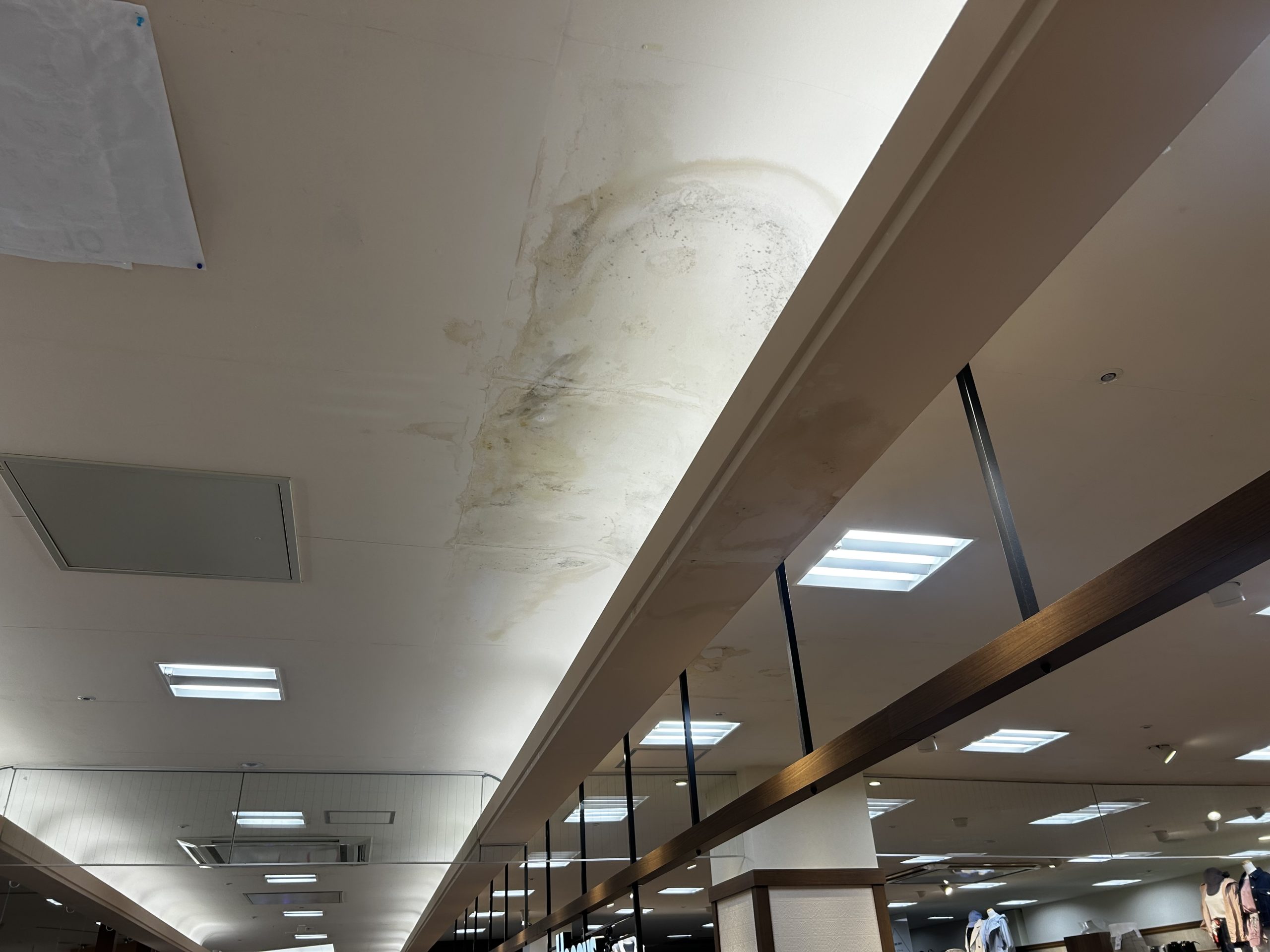 地元ショッピングモール 現場調査風景